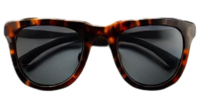Scott Tortoise-Shell Wayfarer Sunglasses