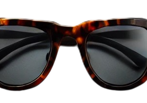 Scott Tortoise-Shell Wayfarer Sunglasses